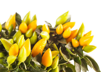 Similar image 2327859