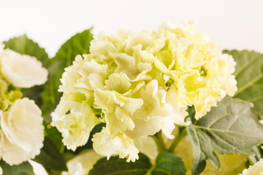 Similar image 2327860