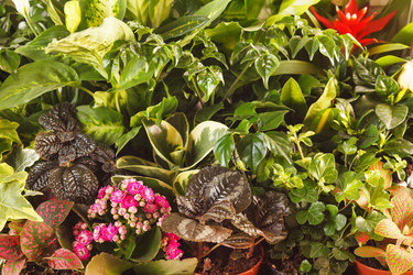 Similar image 2327861