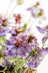 Similar image 2327862