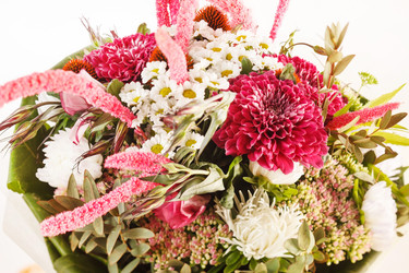 Similar image 2327863