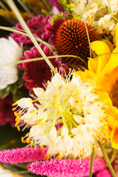 Similar image 2327865