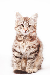 Similar image 2327866