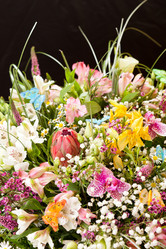 Similar image 2327871