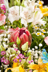 Similar image 2327873