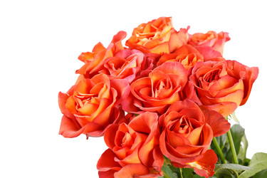 Similar image 2327874