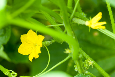 Similar image 2327881