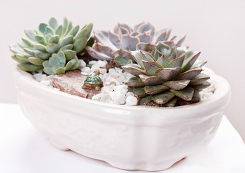 Similar image 2327919