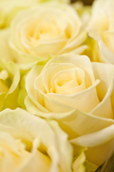 Similar image 2327922