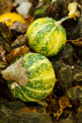 Similar image 2327949