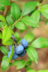 Similar image 2327976