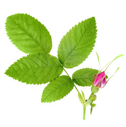 Similar image 2327990