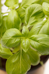 Similar image 2328007