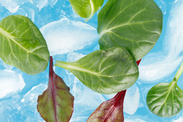 Similar image 2328017