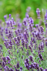 Similar image 2328023