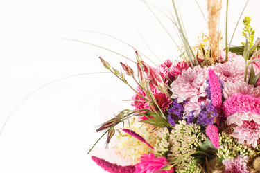 Similar image 2328030