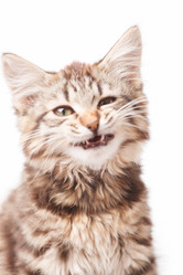 Similar image 2328033