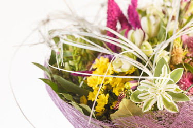 Similar image 2328037