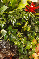 Similar image 2328038