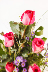 Similar image 2328043