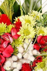 Similar image 2328097