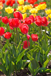 Similar image 2328100