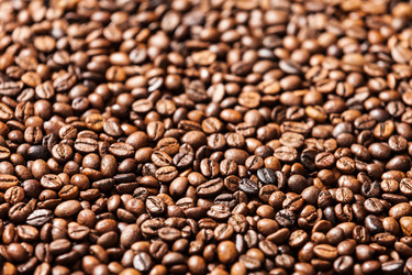 Similar image 2328156