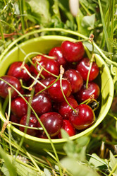 Similar image 2328167