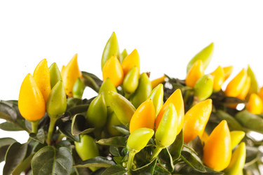 Similar image 2328201