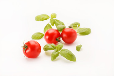 Similar image 2328222