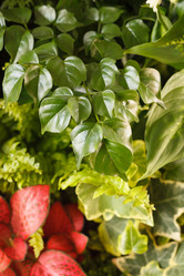 Similar image 2328226