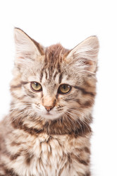 Similar image 2328231