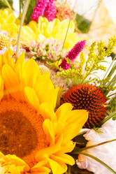 Similar image 2328252