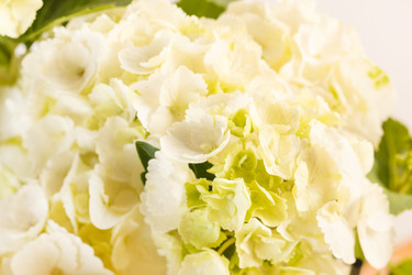 Similar image 2328283