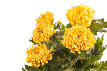 Similar image 2328284