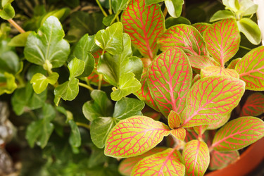 Similar image 2328285