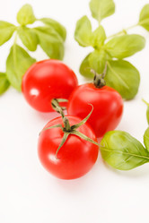 Similar image 2328304