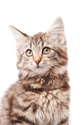 Similar image 2328428