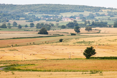 Similar image 2328437