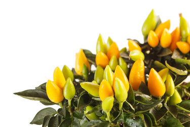 Similar image 2328451