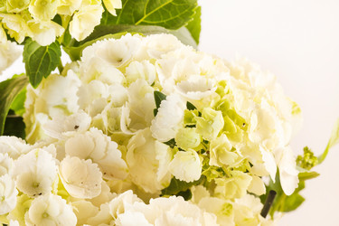 Similar image 2328452