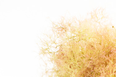 Similar image 2328454