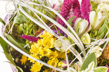 Similar image 2328455