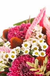 Similar image 2328456