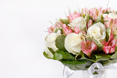 Similar image 2328474