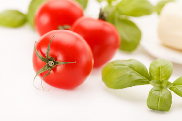 Similar image 2328479