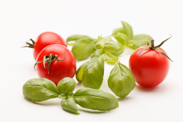 Similar image 2328480