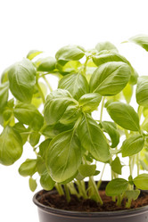 Similar image 2328482