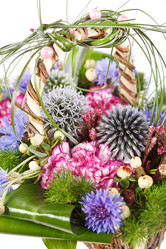 Similar image 2328492