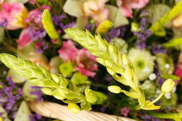 Similar image 2328497